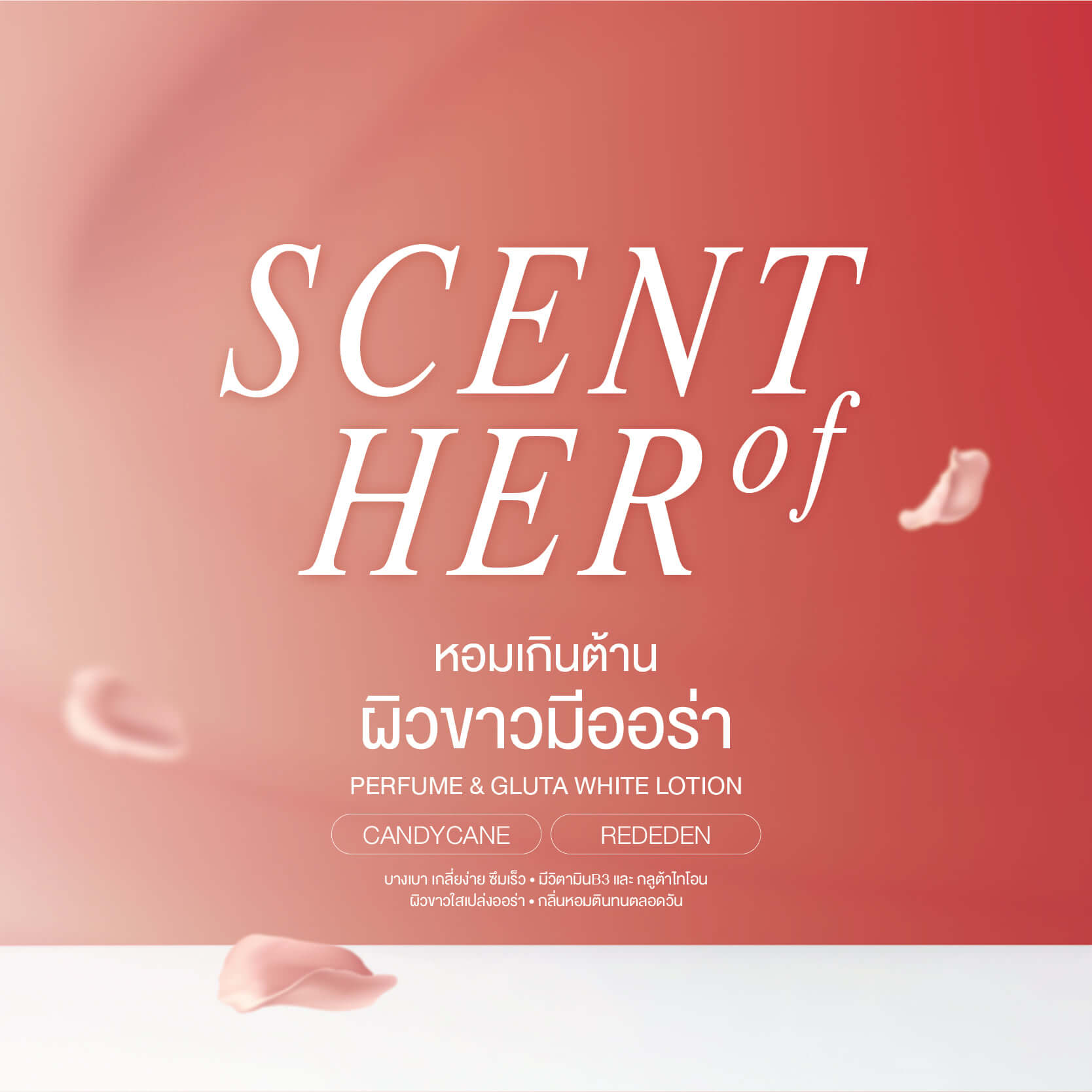Beautii Be,Beautii Be Candy Cane Scent Of Her Perfume And Gluta White Lotion , Candy Cane,Beautii Be,โลชั่นน้ำหอม,Lotion, โลชั่น